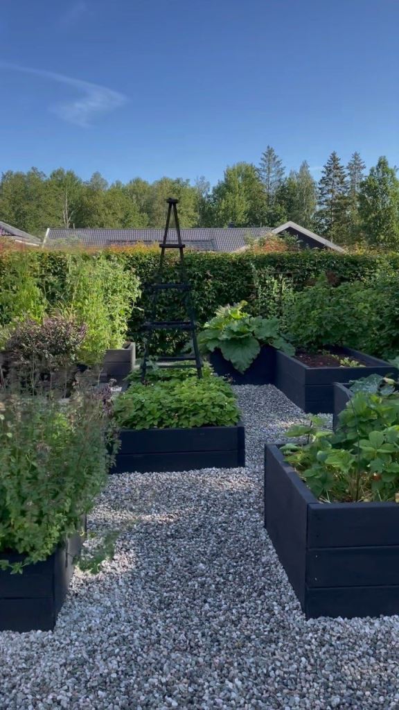 Black Garden Beds That Create Contrasting Paths
