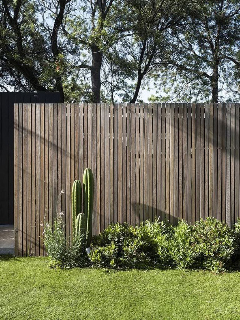 Tall Cacti Add Sculptural Interest To A Natural Wood Fence