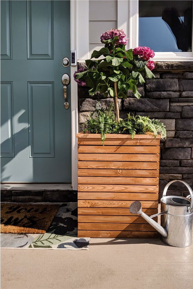 Tall Wooden Planter Box Adds Warmth Beside a Teal Door