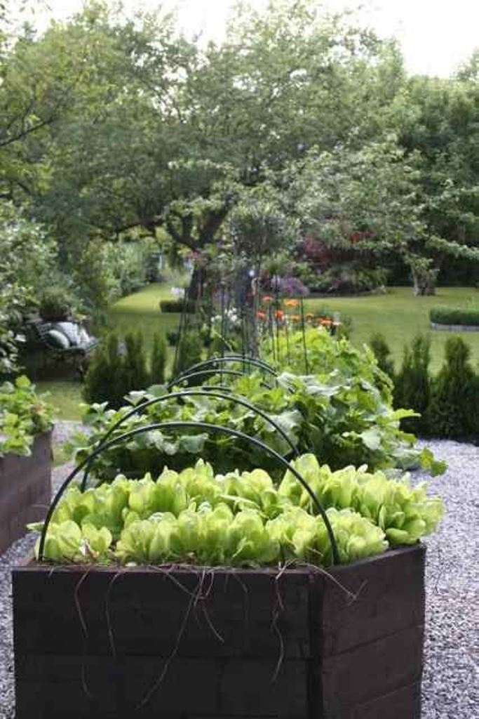 Hexagonal Beds Support Climbing Plants