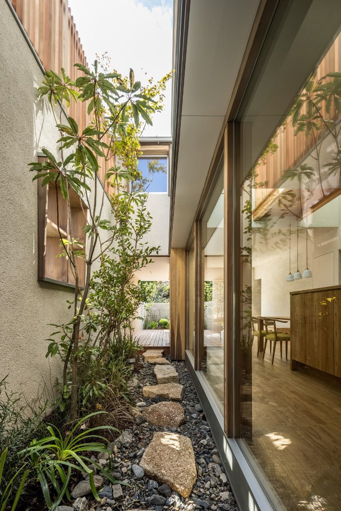 Stepping Stones Create a Natural Path Through Gravel and Plants
