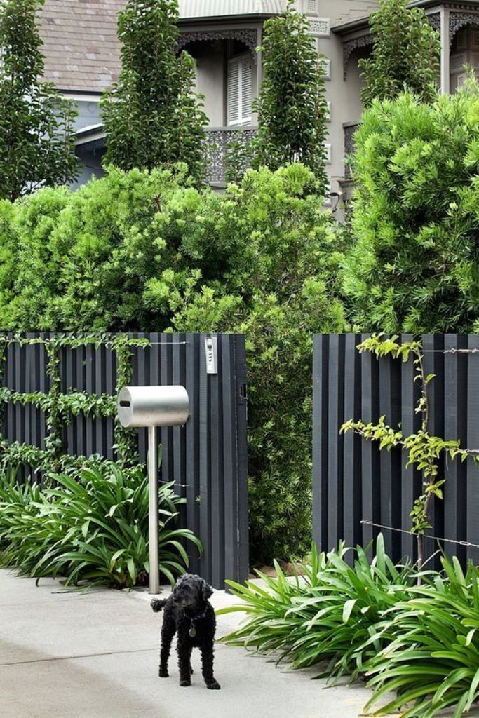 Modern Mailbox Stands Out Against Dark Slatted Fence