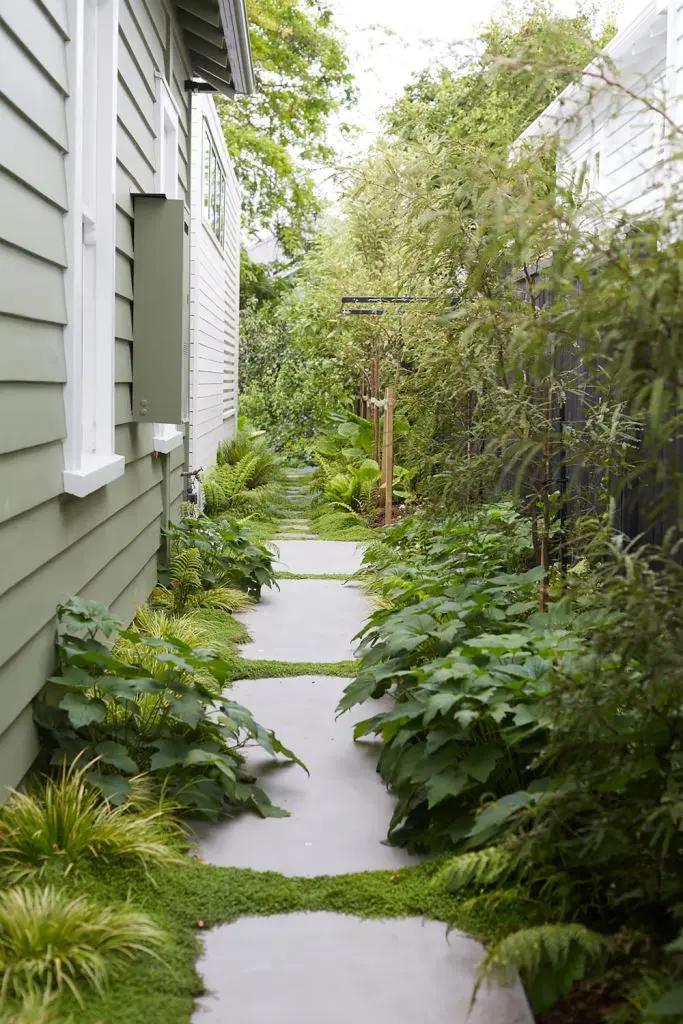 Stepping Stones Softened by Groundcover Between Pavers
