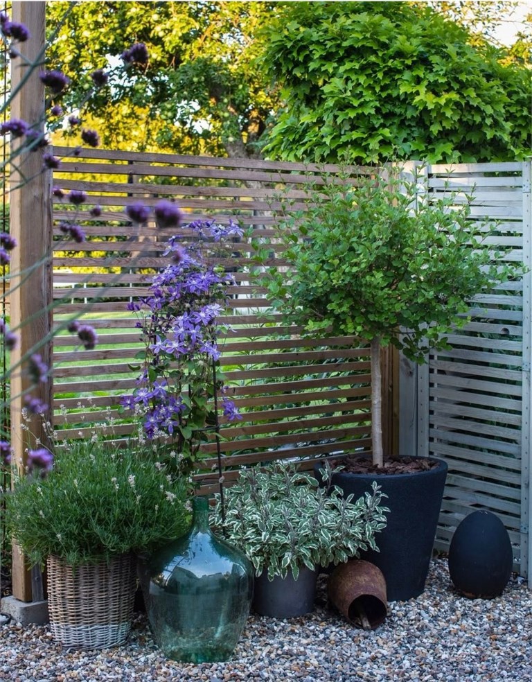 Large Glass Bottle Adds A Statement Piece To Your Garden Display