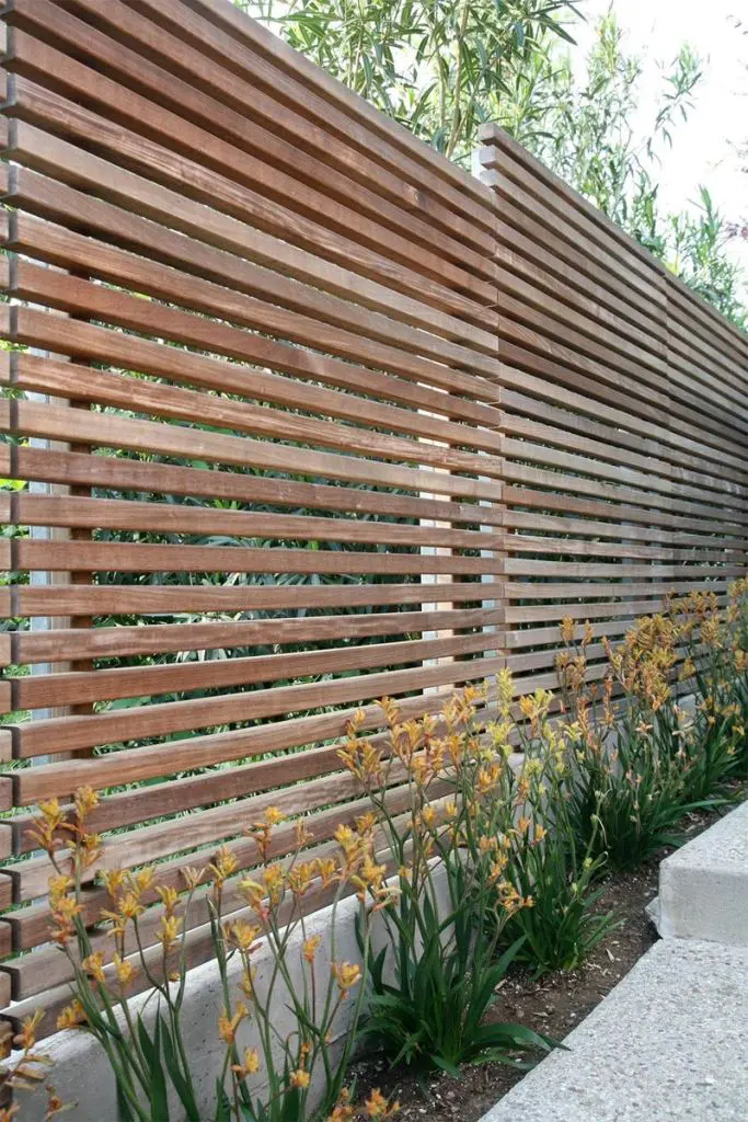Natural Wood Slat Fence With Low Yellow Kangaroo Paw Border