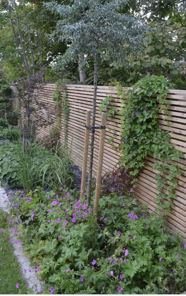Soften Fence Bases with Ground Cover Flowers