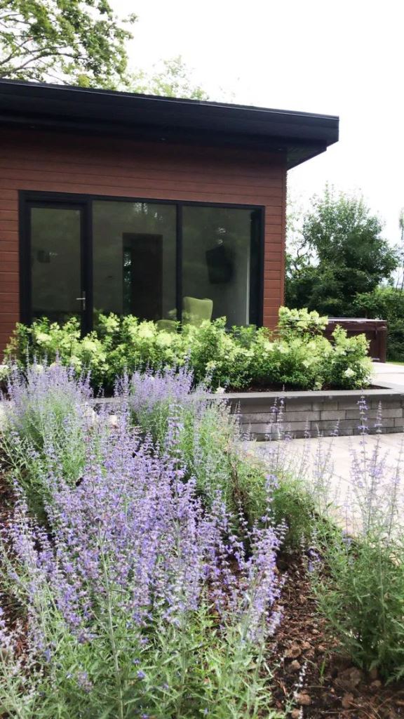 Layered Purple Sage Softens Modern Architecture