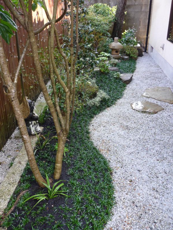 Low Ground Cover Softens Edge Between Gravel and Trees