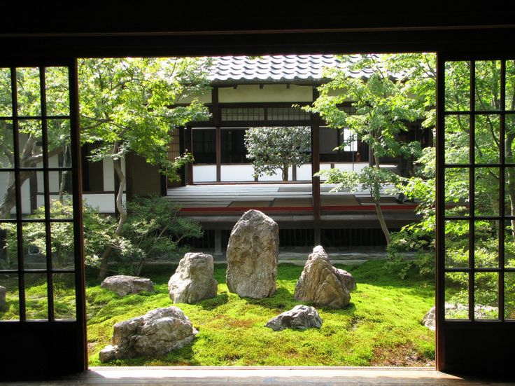 Arranged Stones Create a Textured Landscape on Moss