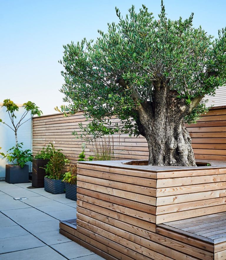 Large Wooden Planter With Integrated Seating Around Tree