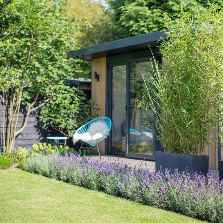 Tall Bamboo in Rectangular Planters Adds Privacy