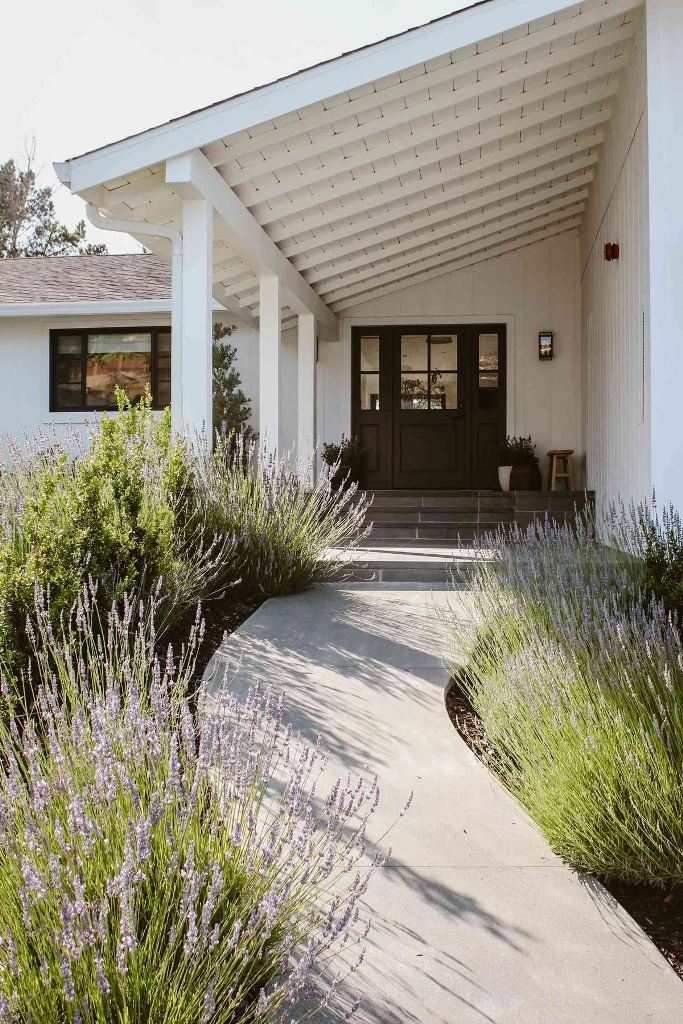Curving Concrete Path Welcomes Guests Through Lavender Borders