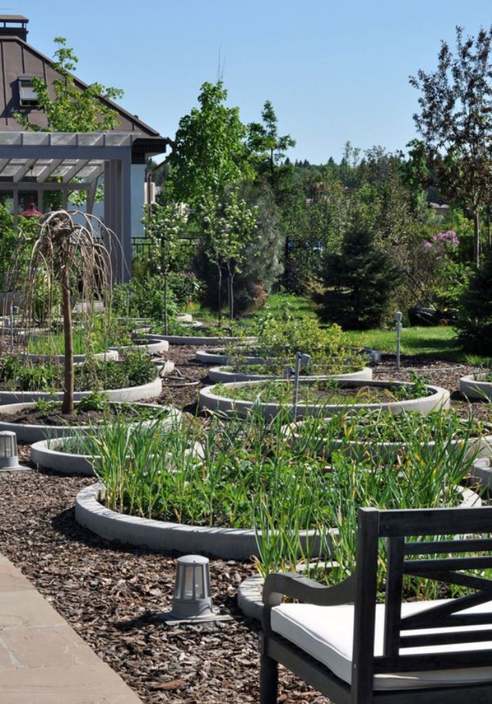 Concentric Planting Circles With Concrete Rings