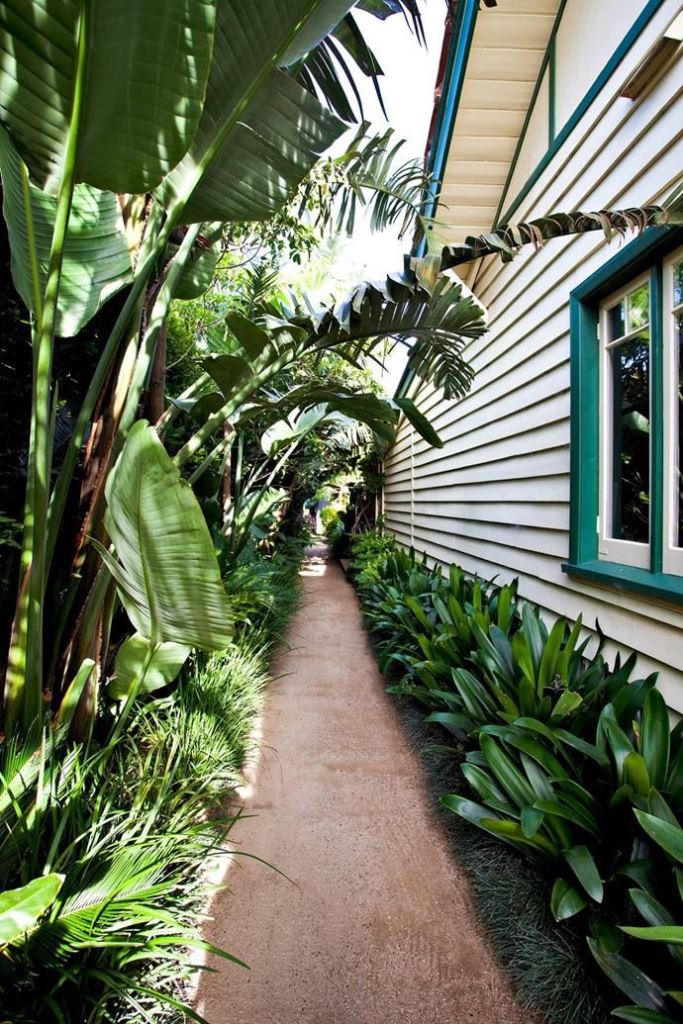Tropical Foliage Creates a Lush, Verdant Pathway