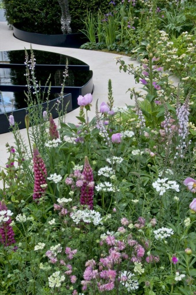 Tall Lupines Add Vertical Interest To Soft Flower Beds