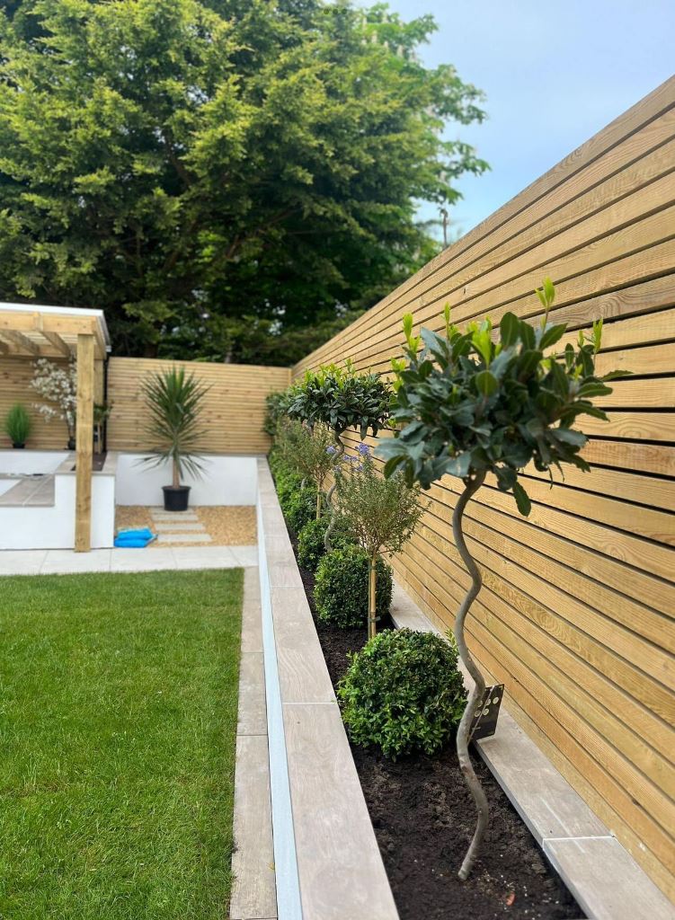 Topiary Trees Add Sculptural Interest To A Slatted Fence