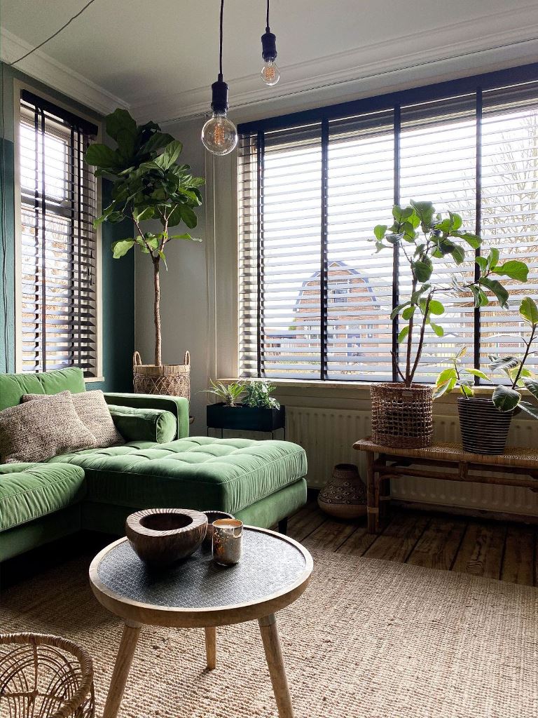 Tall Fiddle Leaf Fig Tree Adds Dramatic Verticality