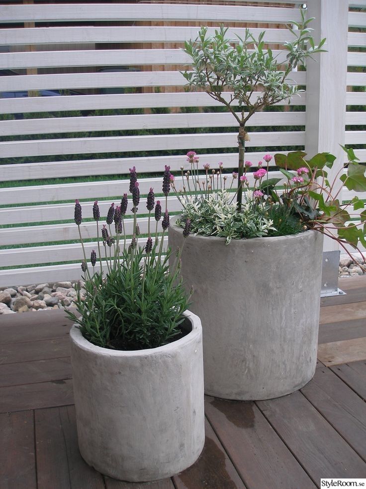 Cylindrical Concrete Planters Add Sculptural Form