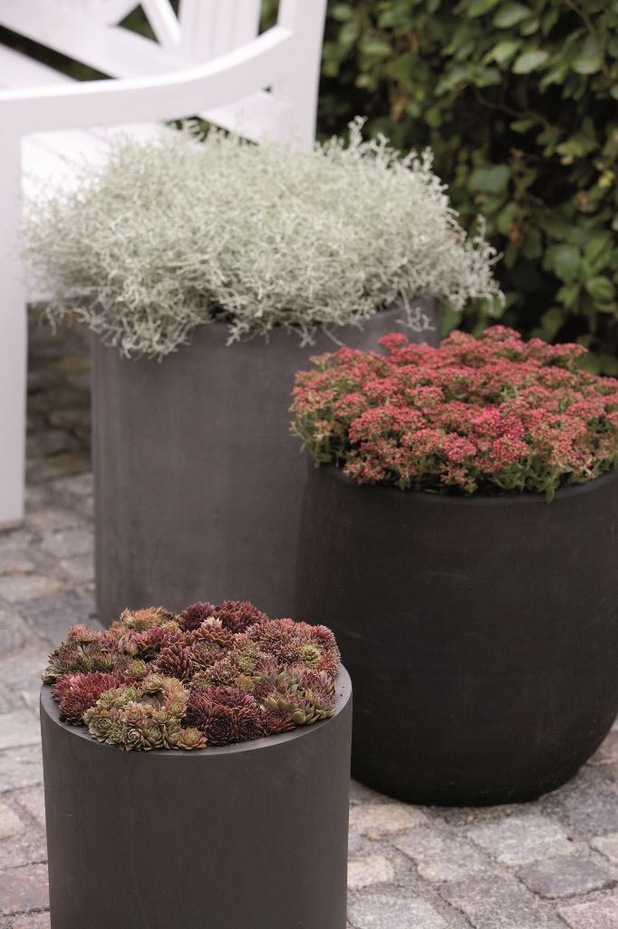 Grouped Dark Planters Create Varied Plant Heights