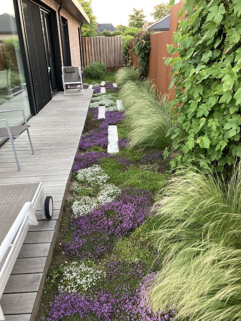 Groundcover Flowers Integrate with Stepping Stones