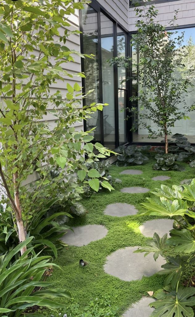Round Stone Pavers Softened by Dense Green Groundcover