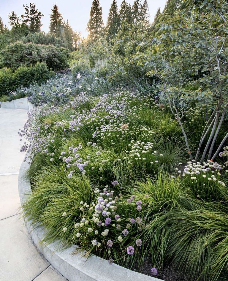 Textured Grasses Soften Rounded Concrete Edges