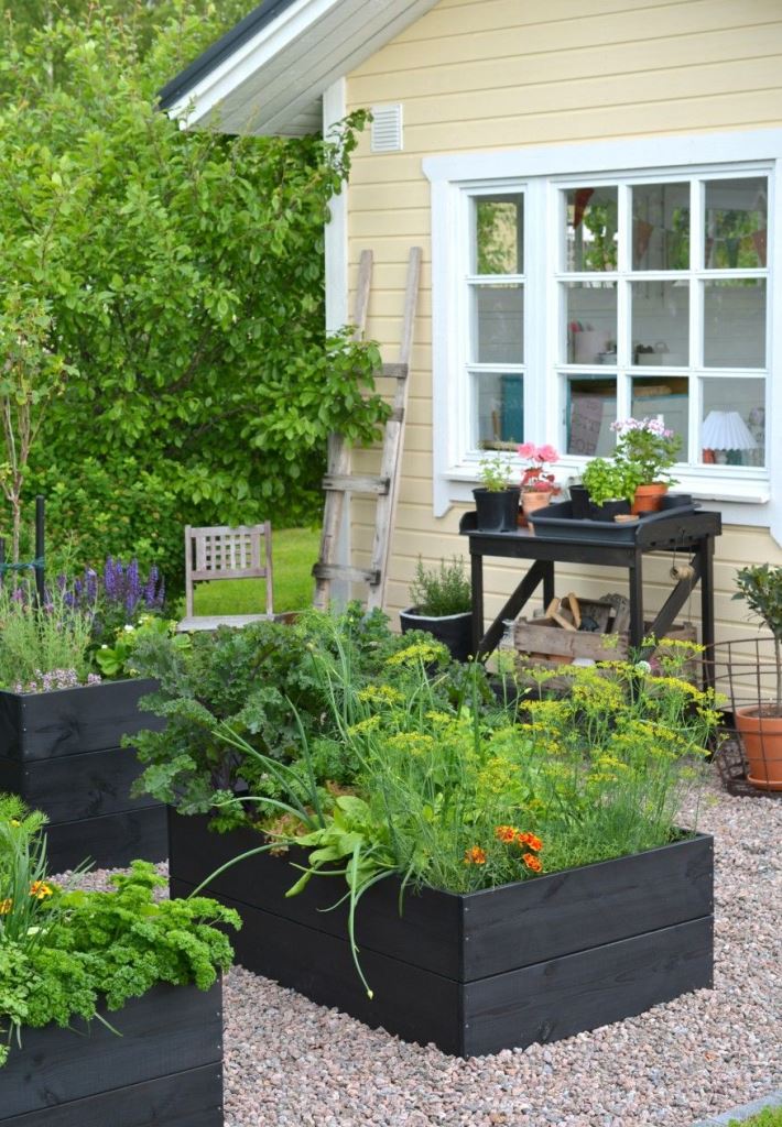 Abundant Herb and Vegetable Gardens in Deep Black Planters