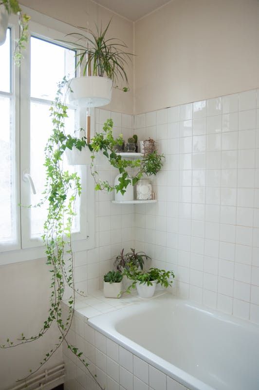Tiered Hanging Planters Add Greenery Near Window