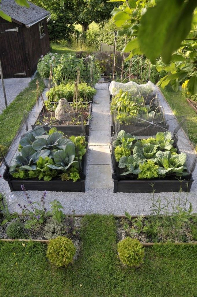 Protective Netting on Deep Black Garden Beds