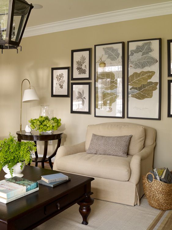 Framed Botanical Art for a Natural Touch