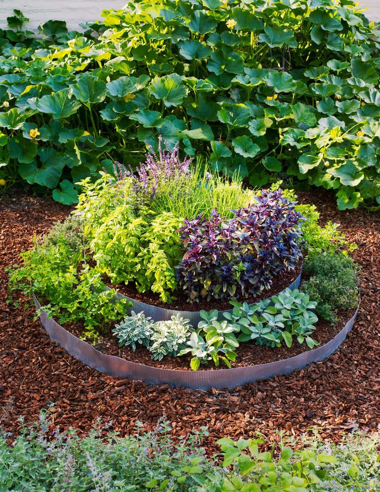 Tiered Herb Gardens With Corrugated Metal Edging