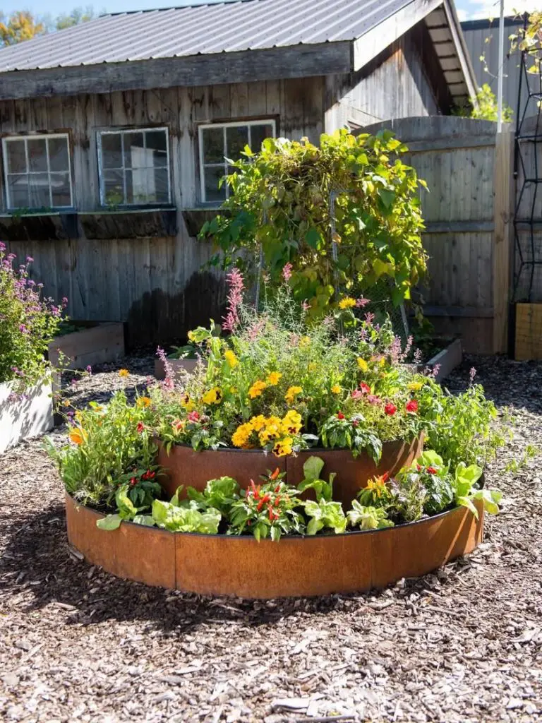 Concentric Garden With Tiered Rusted Metal Rings