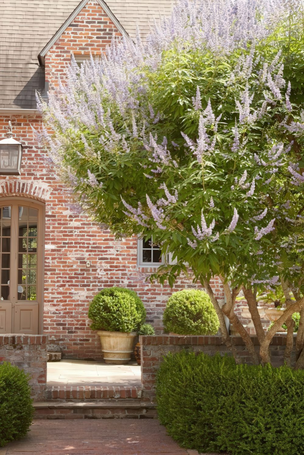 Large Planters Add Softness to Entryway Steps